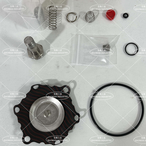 Kit de réparation 314453 pour électrovannes 1/4 po 8345G001 EFHT8345G001 OEM personnalisable - Product Image 3