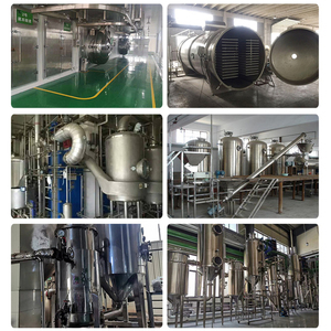 Экстракт гриба льва/порошок гриба герициум эринацеус/порошок гриба льва - Product Image 5