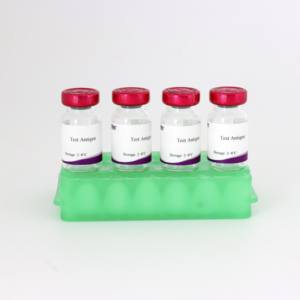 مستضد متعدد التكافؤ جاهز للاستخدام لاختبار اللوح السريع للتيفوئيد والبوللوروم (حاصل على شهادة ISO) - Product Image 2