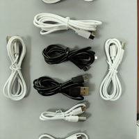 Câble de charge rapide Micro USB 30 cm Type-C 5V2A en gros pour téléphones Android, banques d'alimentation, ordinateurs, appareils photo (PVC, garantie 12 mois)