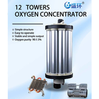 Générateur d'oxygène à tour 3L 5L 7L 10L 15L Concentrateur d'oxygène à 12 tours Générateur d'oxygène industriel