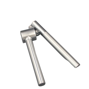 Low price guaranteed quality garlic press stainless steel crusher kitchen