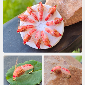 OEM Nassfliegen-Nymphen Künstlicher Insektenköder mit Naturfedern Fliegenfischen-Set Fleischfarbe für Fluss-, Bach- und Seefischerei - Product Image 3