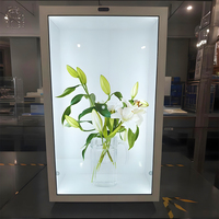 Vitrine Holographique 3D Transparente Effet Flottant Présentation à 360° Sans Soudure – Optimisez le Trafic Commercial Personnalisable
