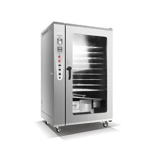 Horno de bagre ahumado/Ahumadero industrial/Máquina para fumar salchichas Precio