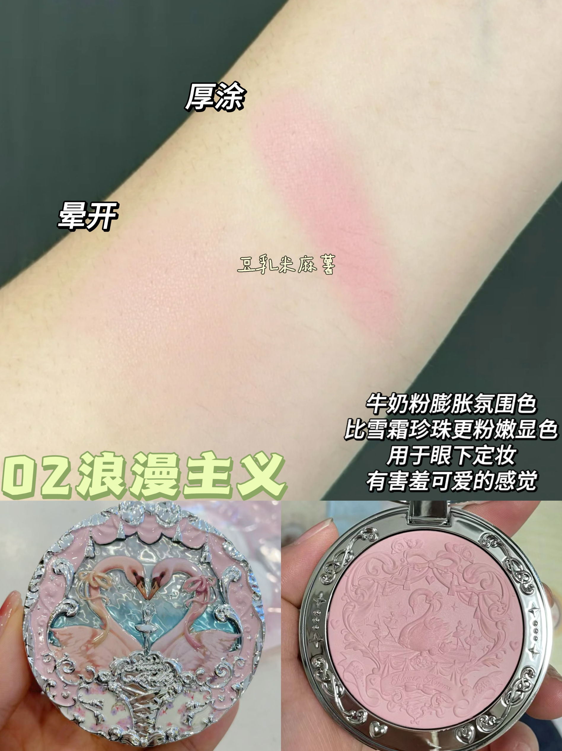 Ballet des cygnes 02 romantisme