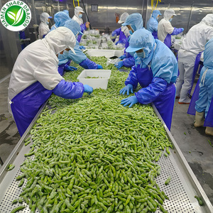 Commercio all'ingrosso IQF verde <span class=keywords><strong>Edamame</strong></span> in baccelli/noccioli singoli semi di soia surgelati in conchiglie prezzo competitivo del fornitore - Product Image 3