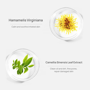 <span class=keywords><strong>LANBENA</strong></span> Blackhead Limpieza profunda Retráctil Poro Control de aceite Anti Acné Plantas Extracto de aloe orgánico Tiras de nariz - Product Image 3