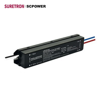 Alimentation à découpage à tension constante Classe 2 Classe P 60-300W, petite taille, non dimmable, 12V 24V 36V 48V pour bandes LED