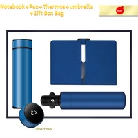 Ensemble de luxe 2025 : Tasse isotherme, carnet, parapluie et stylo avec impression sérigraphique de logo personnalisé pour cadeaux d'entreprise