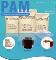 Bubuk Flokulan Poliakrilamida PAM Kationik Anionik Nonionik untuk Pengolahan Air Limbah Industri dan Pabrik Pembuatan Kertas