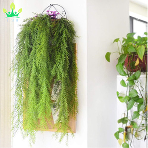 Helechos verdes artificiales vides colgantes aguja de pino planta de plástico <span class=keywords><strong>Flor</strong></span> de plástico para decoración de pared de jardín doméstico - Product Image 3