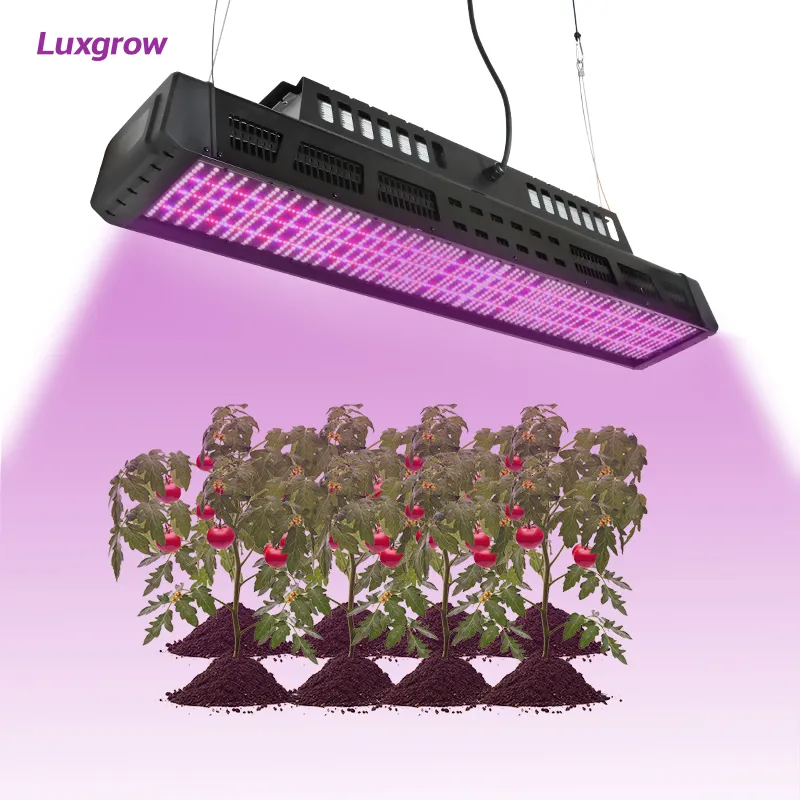 نبات داخلي مصباح ل والخيار الطماطم الخس نمو أعلى الإضاءة مصباح إضاءة LED للنمو الدفيئة 640w 800w