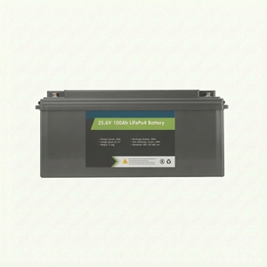 Batería de Iones de Litio y Fosfato de Hierro (LiFePo4) Lithtech TE24100 de 24V 100Ah, con 5 Años de Garantía, Ciclo Profundo, Libre de Mantenimiento - Product Image 1
