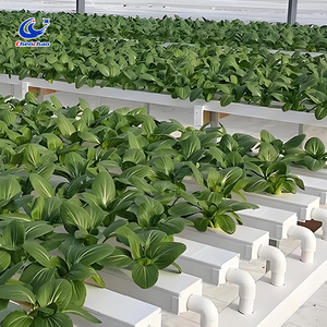 Tubería de diseño modular, sistema de cultivo hidropónico sin suelo para cultivo hidropónico de alto rendimiento y ahorro de agua - Product Image 5