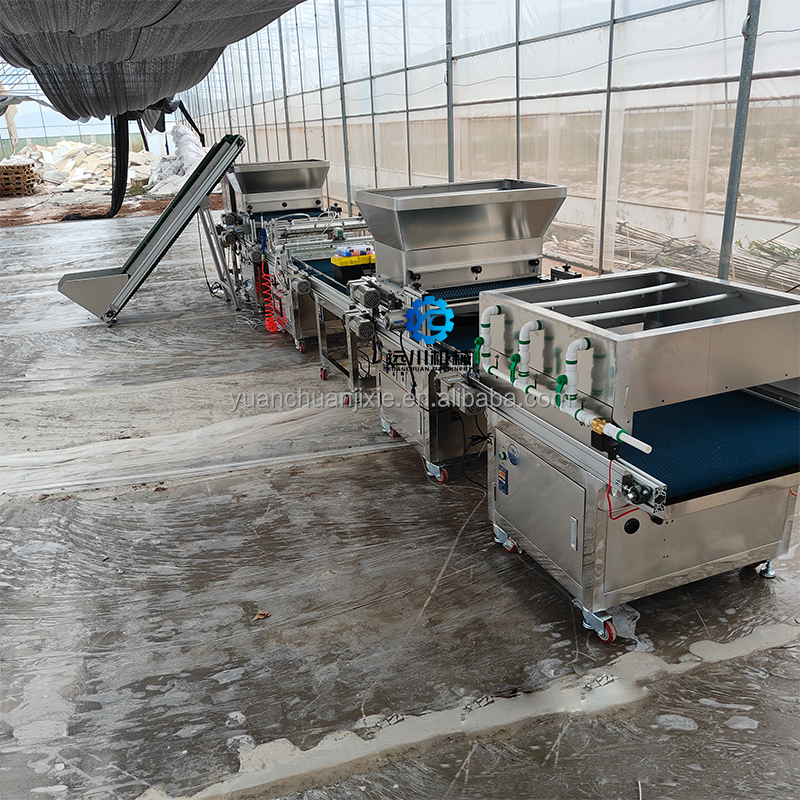 Fully Automated Greenhouse Seedling Production Line