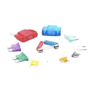 IEC High Quality 2A Small Car Fuse