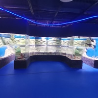 Production de grands aquariums en acrylique personnalisés de haute qualité, excellent matériau acrylique pour aquarium, design de style moderne
