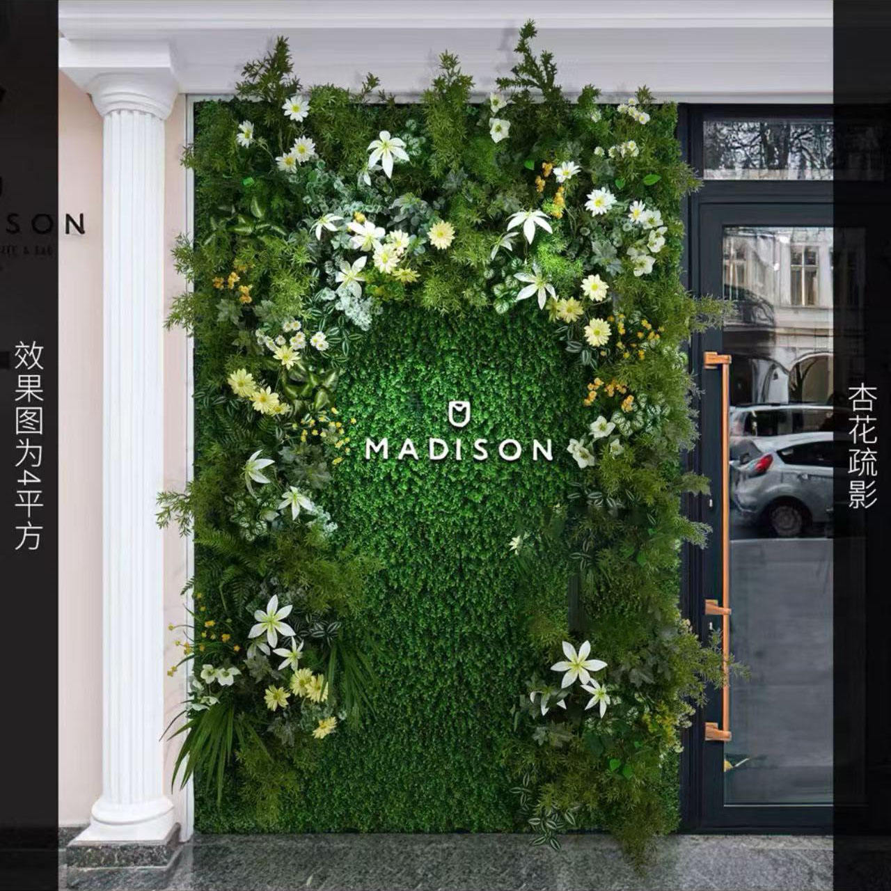 Ombre de fleur d'abricot/㎡