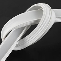 Lumière LED néon à très haute luminosité pour espaces entre armoires, IP67, blanc chaud/blanc froid, installation facile, personnalisable pour plafond