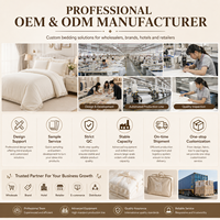 Ensemble de literie en dentelle de luxe sur mesure OEM ODM, design personnalisé, couleur du tissu, taille, broderie, logo, étiquette, emballage, housse de couette, ensemble de linge de lit
