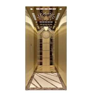 ลิฟต์ที่อยู่อาศัย ลิฟต์บันไดบ้าน ลิฟต์ขนาดเล็กในร่ม 2023 ลิฟต์ดีไซน์ใหม่ / 450 กก. สแตนเลสสตีลทําเอง ISO