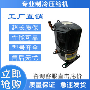 คอมเพรสเซอร์ทำความเย็น HYZL รุ่น CR37KQ-TF5-240BN สำหรับอุตสาหกรรมห้องเย็นอุณหภูมิต่ำ - Product Image 5