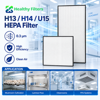 Filter Udara HEPA H13 H14 U15 Kustom Baru 0.3 Mikron 99.99% Efisiensi Tinggi untuk Ruang Bersih Aliran Laminar Peternakan Jamur 1 Tahun