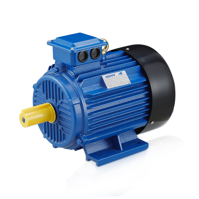Professional 380V Electric Motor Three Phase Asynchronous Motor