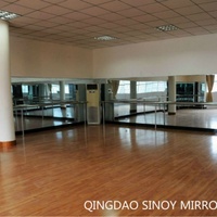 Miroir mural ovale sans cadre en verre argenté de haute qualité, norme européenne, 2-8 mm, pour salle de sport, studio de danse, miroirs décoratifs modernes sur mesure