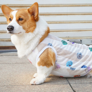 Chaleco para perros, transpirable, antidesprendimiento, diseño de cara sonriente, para Corgi y perros pequeños - Product Image 2