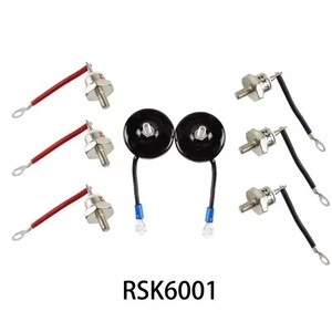 Módulo Rectificador Shaluo Rsk1001, Diodo, Varistor, Generador Rotatorio para Uso Automotriz - Product Image 3