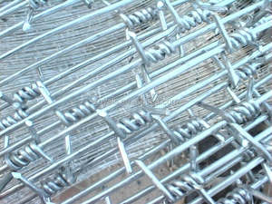 दीवार Spikes सुरक्षित कांटेदार बाड़ तार बाड़ पीवीसी लेपित थोक अच्छी गुणवत्ता कांटेदार तार - Product Image 5