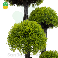 Arbre de boule topiaire de cyprès artificiel résistant aux UV direct d'usine-fausse plante pour la décoration extérieure intérieure