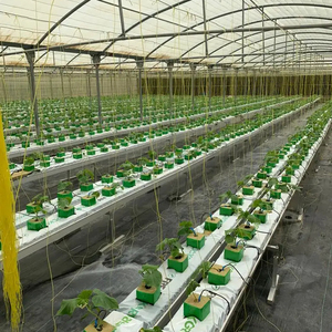 <span class=keywords><strong>Crochet</strong></span> de suspension en métal pour la culture hydroponique de <span class=keywords><strong>gouttière</strong></span> de substrat - Product Image 3