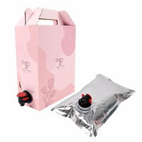 Pochettes personnalisées 3L 5L en boîte, anti-humidité, thermoscellables, en PE, avec valve distributeur pour vin, bière, jus, boissons énergisantes, impression par gravure