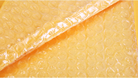Enveloppes rembourrées en papier kraft recyclable neuves, sacs d'expédition protecteurs biodégradables