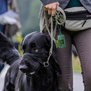 Huamaohengchun - Dispensador de Bolsas para Excrementos de Perro, Ligero, Portátil, de Nailon, Ecológico, Biodegradable, de Plástico - Product Image 4