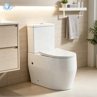 WC deux pièces, cuvette de toilettes, équipement sanitaire pour le marché argentin et sud-américain