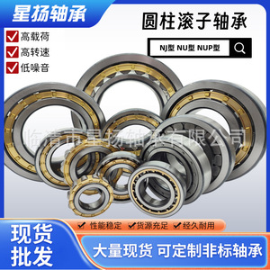 Roulements à rouleaux cylindriques NJ210EM, diamètre intérieur 50 mm, cage en laiton, précision P0, application pour boîte de vitesses - Product Image 2