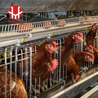 Cage à poulets de type A, cage automatique à batterie, 4 niveaux, collecte des œufs, convoyeur à fumier, abreuvoir à tétine, acier galvanisé, 3 niveaux