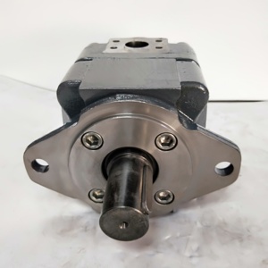 Bomba de engranajes internos gerotor hidráulica de alta duración QXM Serie QX QX63 QX64 QX81 QX82 QX83 QX84 QX63-100R443 de larga vida útil Internacional - Product Image 4