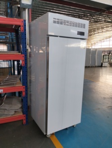Réfrigérateur-congélateur vertical à porte unique avec contrôle numérique de la température, dégivrage automatique et étagères réglables - Product Image 1