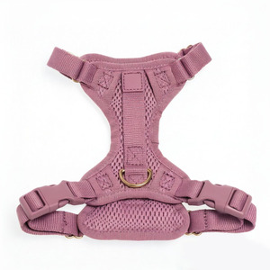 OEM ODM Padded Dog Harness Set Gold Hardware Pet Harness <b>Collar</b> Leash Poop Bag Holder Kit Adjustable For Small Medium Dogs Daily - Product Image 6