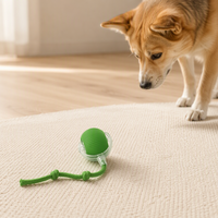 Balle interactive intelligente pour chat, à roulement automatique, 3 vitesses réglables, rechargeable par USB, jouet électrique pour animaux de compagnie avec capteur de réveil en option