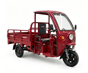 Triciclo de Carga de 3 Ruedas con Certificación Europea, 72V 1000W, Caja de 1.6m, 80km de Autonomía, SKD para el Mercado Africano - Product Image 5