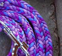Laisse pour chien en paracorde tressée, couleur violette, avec logo personnalisé, en nylon durable, pour animaleries et salons de toilettage