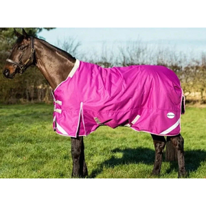 Fleece-Pferdedecken zur Verhinderung übermäßiger Überhitzung – Kühlende Decke schützt vor Überhitzung - Product Image 5