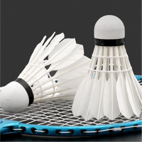 Volant de badminton professionnel léger et durable en plumes de canard de classe A, haute élasticité, pour entraînement et tournoi, tête en liège sandwich