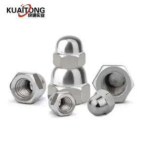 Hot Sale Din1587 Stainless Steel Hex Domed Cap Nut Acorn Cap Nuts M10 Size M3 M4 M7 M24 M30 Standard Threads Zinc Plating